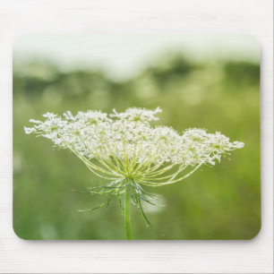 Wildbloemen van koningin Anne's Lace Muismat