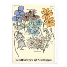 Wildbloemen van Michigan Hand getekende kunst prin