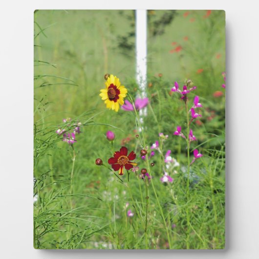 wildbloemtuin fotoplaat (Voorkant)