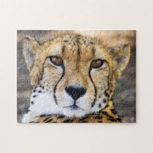 Wildcat Cheetah Leopard Wildlife Natuur Legpuzzel