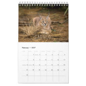 Wildcats Showcase Collection Wall Calendrier (Feb 2027)