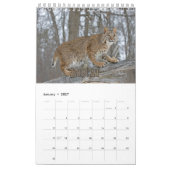 Wildcats Showcase Collection Wall Calendrier (Jan 2027)