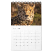 Wildcats Showcase Collection Wall Calendrier (Mar 2027)