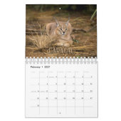 Wildcats Showcase Collection Wall Calendrier (Feb 2027)