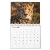 Wildcats Showcase Collection Wall Calendrier (Mar 2027)