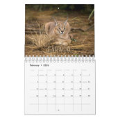 Wildcats Showcase Collection Wall Calendrier (Feb 2026)