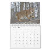 Wildcats Showcase Collection Wall Calendrier (Jan 2026)