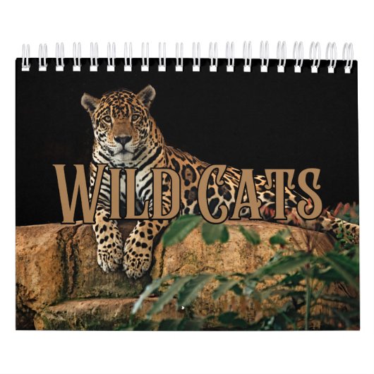 Wildcats Showcase Collection Wall Calendrier (Protection)