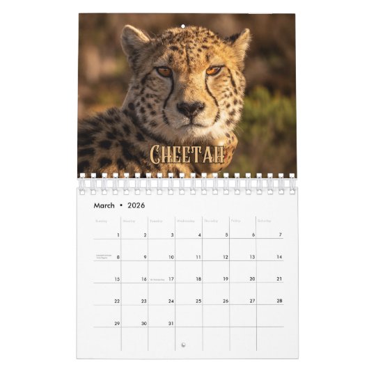 Wildcats Showcase Collection Wall Calendrier (Mar 2026)