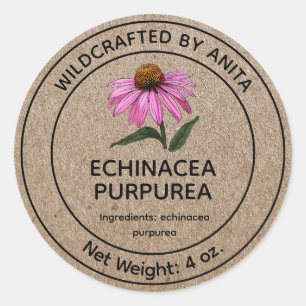 Wildcrafted Echinacea Purpurea Paarse Coneflower Ronde Sticker