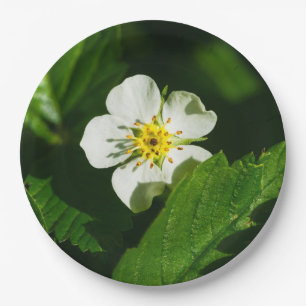 Wilde aardbeerbloem papieren bordje