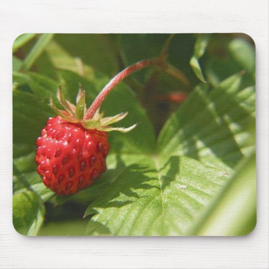 Wilde aardbei muismat (Voorkant)