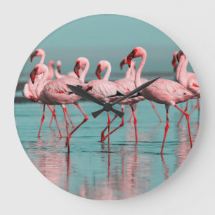 Wilde Afrikaanse flamingo's Grote Klok