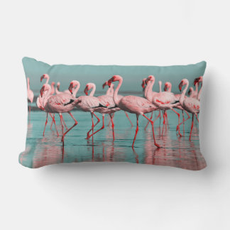 Wilde Afrikaanse flamingo's Kussen