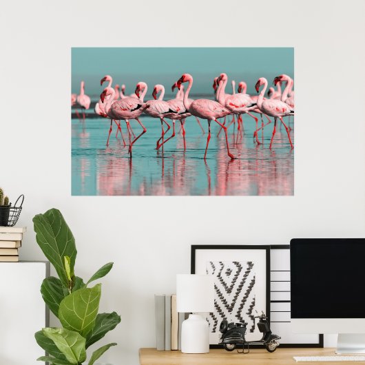 Wilde Afrikaanse flamingo's Poster (Thuiskantoor)