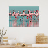 Wilde Afrikaanse flamingo's Poster (Keuken)