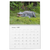Wilde Alligators in Florida 2026 Agenda Kalender (Jan 2027)