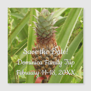 Wilde ananas tropische vruchten in Natuur