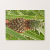 Wilde ananas tropische vruchten in Natuur Legpuzzel (Horizontaal)