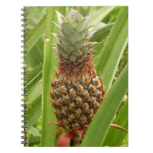 Wilde ananas tropische vruchten in Natuur Notitieboek