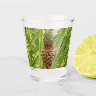 Wilde ananas tropische vruchten in Natuur Shot Glas