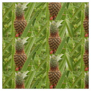 Wilde ananas tropische vruchten in Natuur Stof