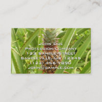 Wilde ananas tropische vruchten in Natuur