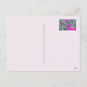 Wilde anjers feestdagenkaart (Achterkant)