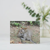Wilde apen uit Singapore Briefkaart (Staand voorkant)
