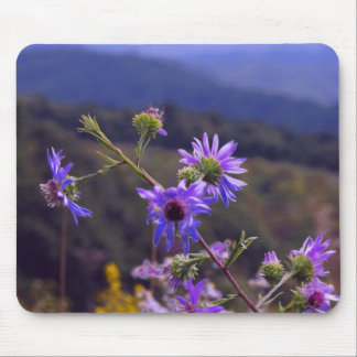 Wilde Asters Muismat