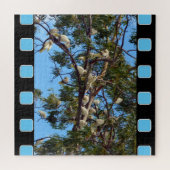 Wilde Australian Cockatoos in Gum Trees Legpuzzel (Horizontaal)