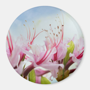 wilde azalea magneet