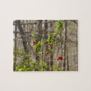 Wilde Azaleaboom in Smoky Mountains Legpuzzel