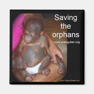 Wilde baby's: Sparen de wezen Magneet