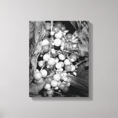 Wilde bessen zwart en wit canvas afdruk (Voorkant)