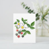 Wilde Blackberries Briefkaart (Staand voorkant)