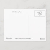 Wilde blauwbes briefkaart (Achterkant)