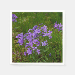 Wilde Blauwe Phlox Servet