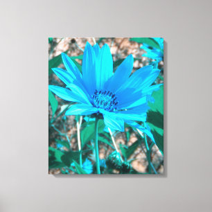Wilde Blauwe Zonnebloem Afdruk Canvas