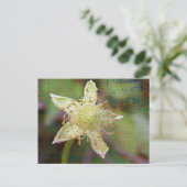 Wilde bloem 4 briefkaart (Staand voorkant)