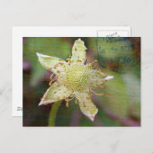 Wilde bloem 4 briefkaart (Voorkant / Achterkant)