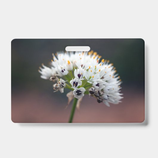 Wilde Bloem Badge (Voorzijde)