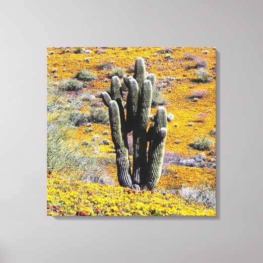 Wilde bloem bloei canvas afdruk (Voorkant)