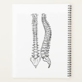 Wilde bloem Chiropractic, Chiropractor, Spine Planner (Achterkant)