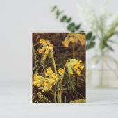 Wilde bloem: Cowslip Briefkaart (Staand voorkant)