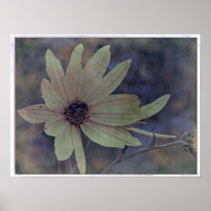 Wilde bloem en bijen poster