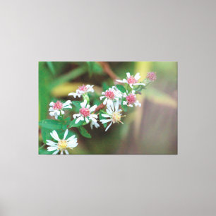 Wilde bloem Extra Groot Canvas Afdruk