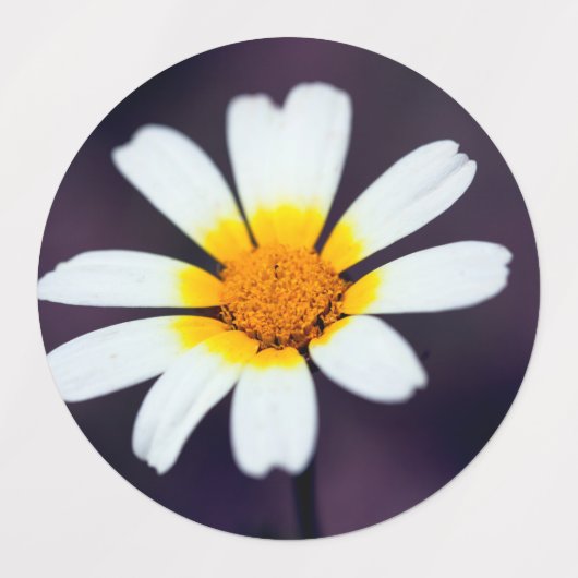 Wilde bloem labels (Design 2)