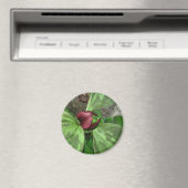 Wilde bloem magneet (Insitu (Vaatwasser))