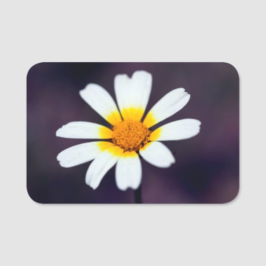 Wilde bloem naamplaatje (Voorkant)
